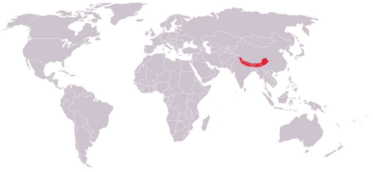 Ailurus-fulgens-map.png