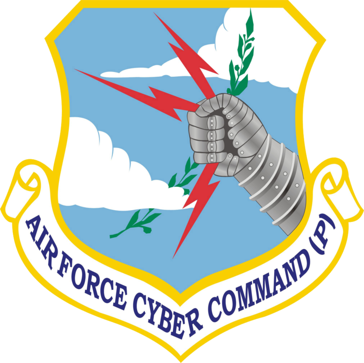 Air Force Cyber Command