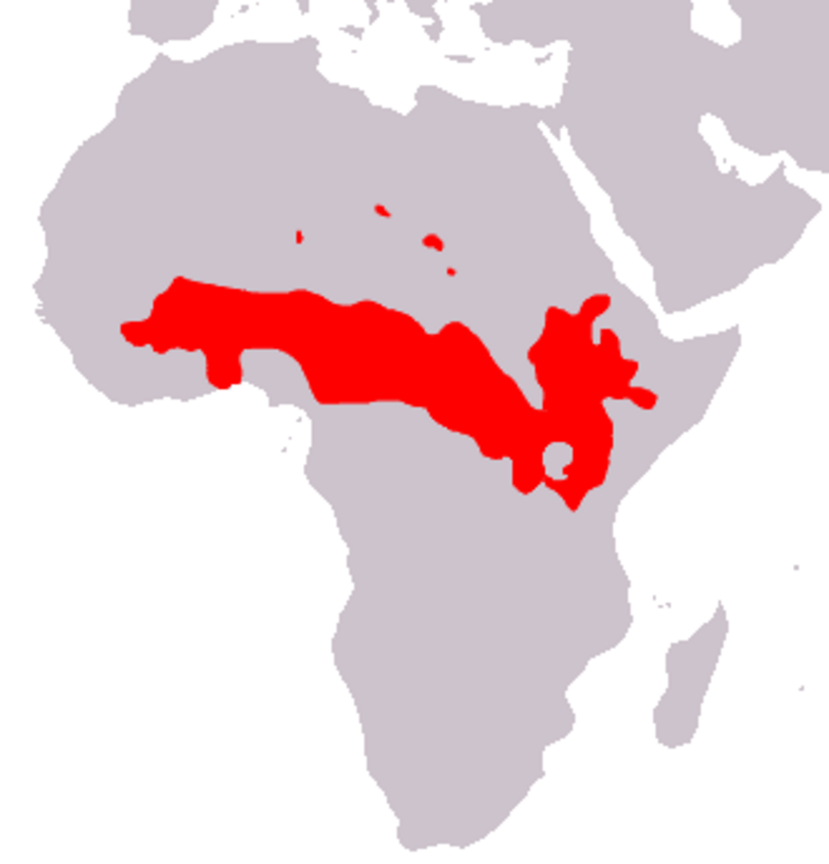 Aire-de-repartition-Papio-anubis.png