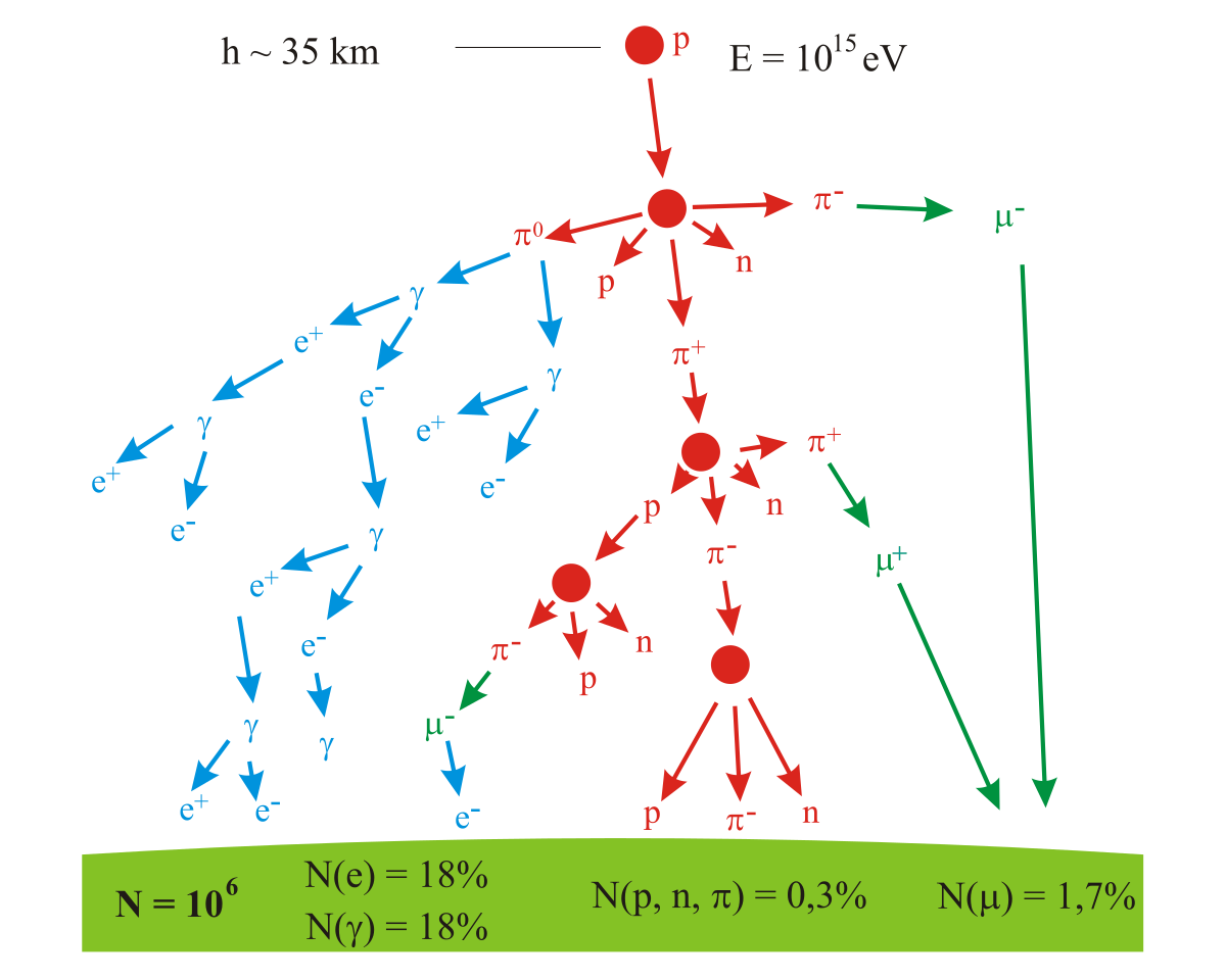 Un arbre logique représentant la production de particules