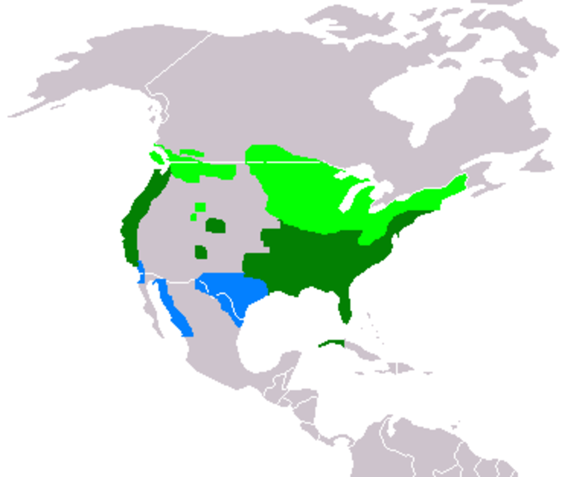 Répartition géographique :