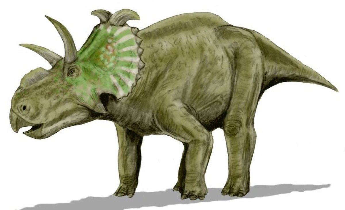 Liste d'espèces de reptiles décrites entre 2006 et 2010