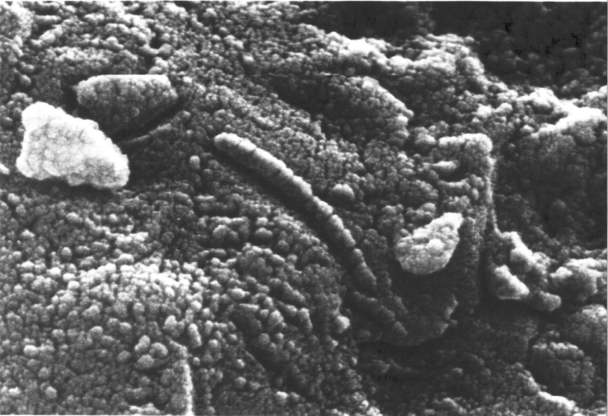 Analyse au microscope électronique à balayage de la météorite.