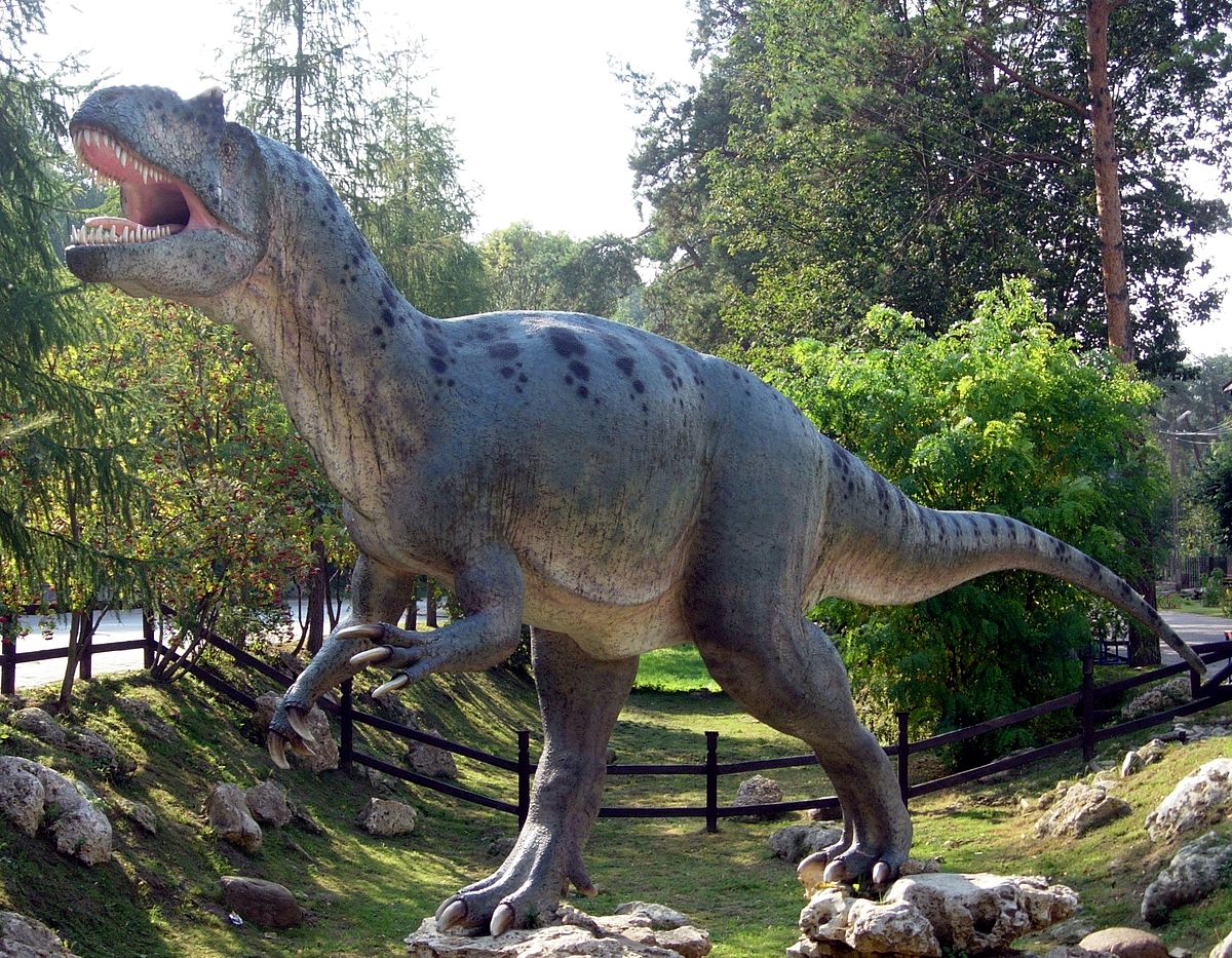 Allosaurus