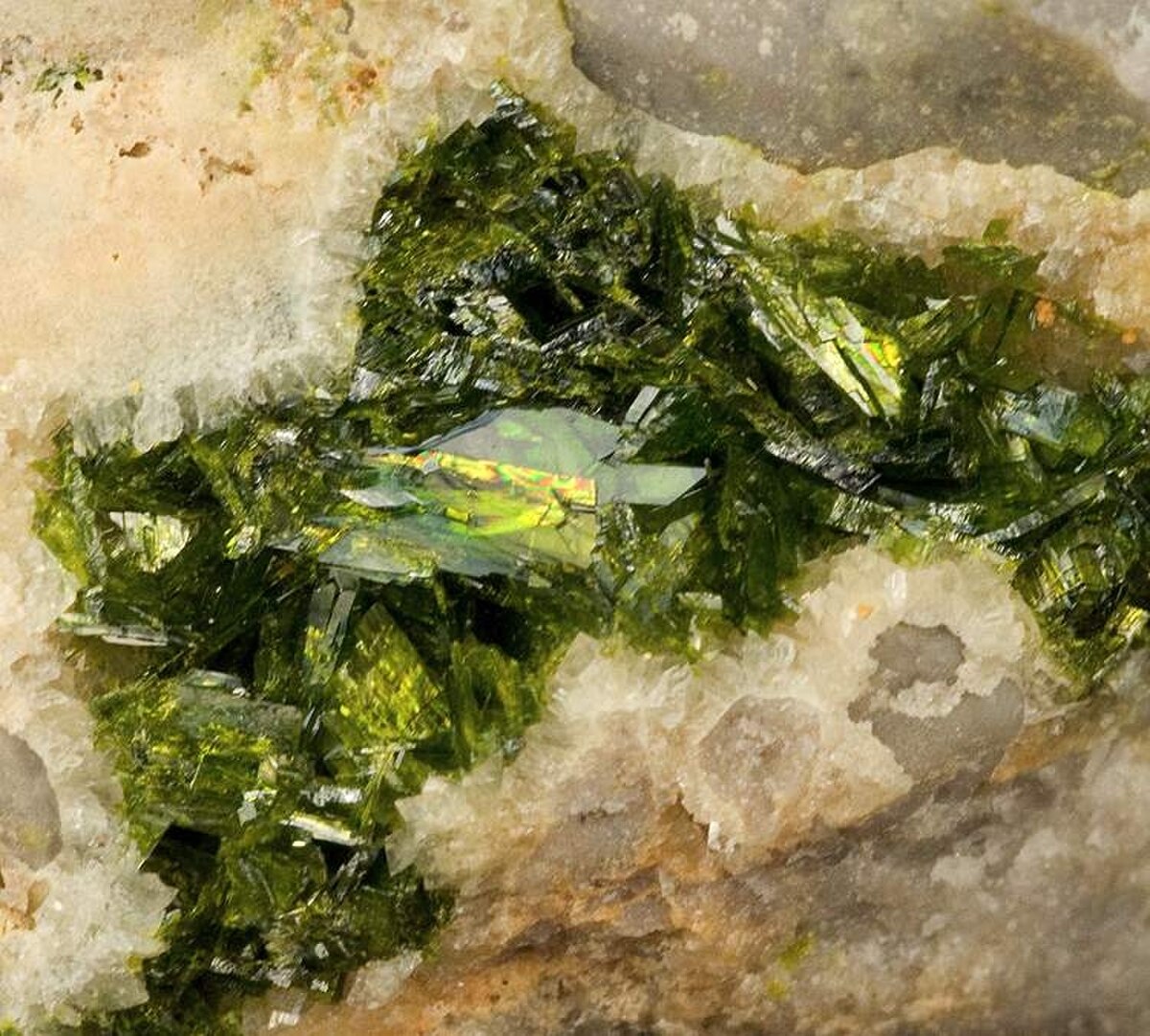 Rodalquilarite