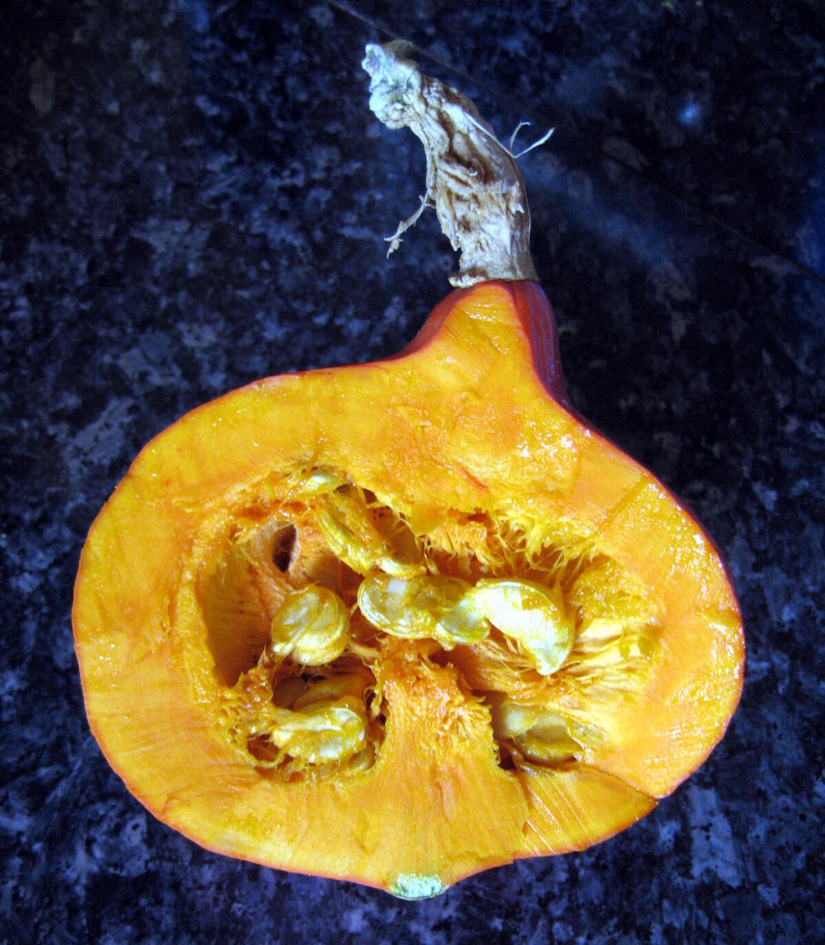 Potimarron