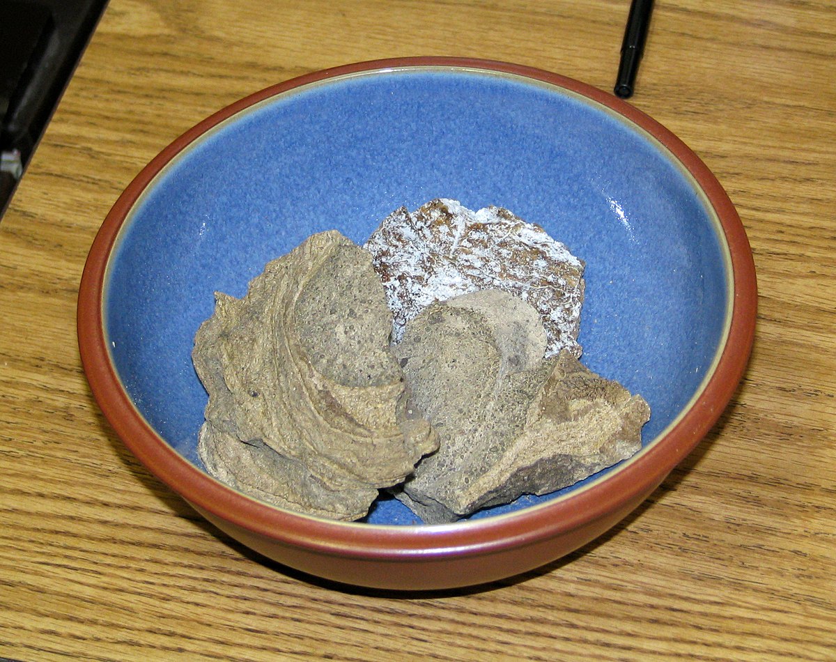 Ambre gris