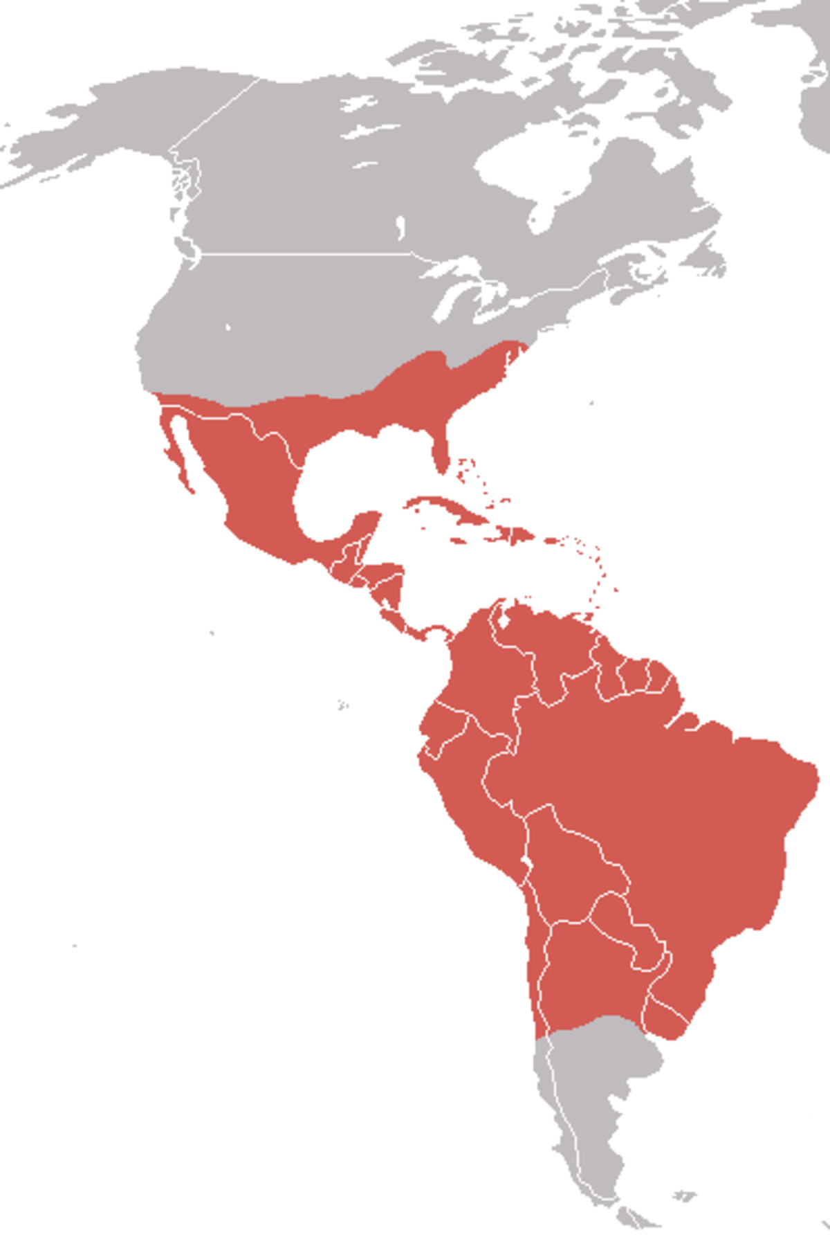 AmericanBlackVultureMap.png