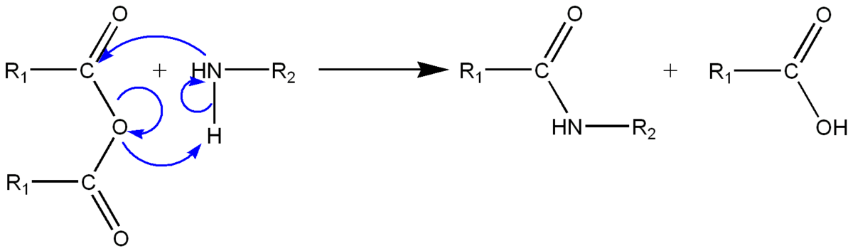 Amidationanhydride.png