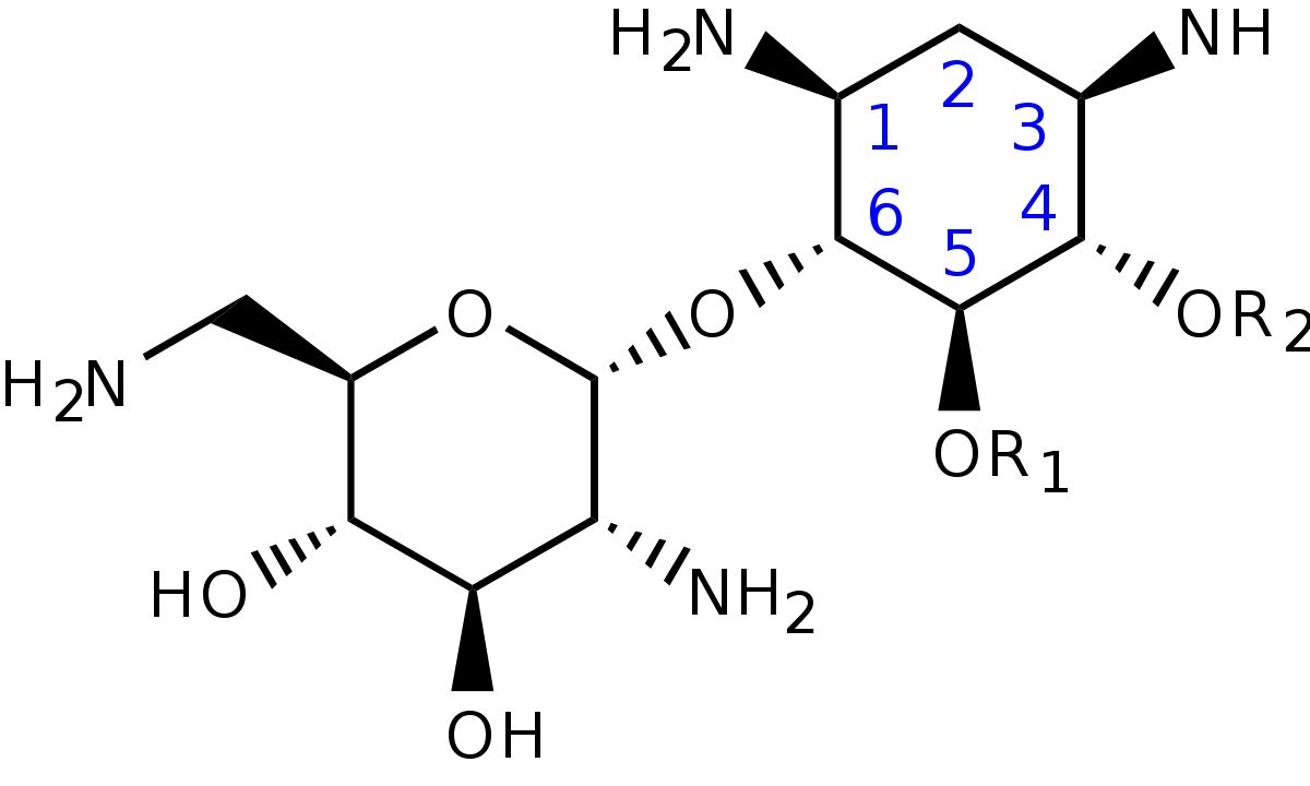 Aminoside