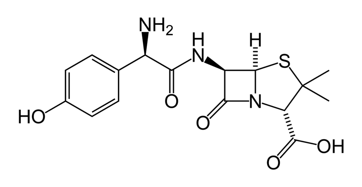 Amoxicilline
