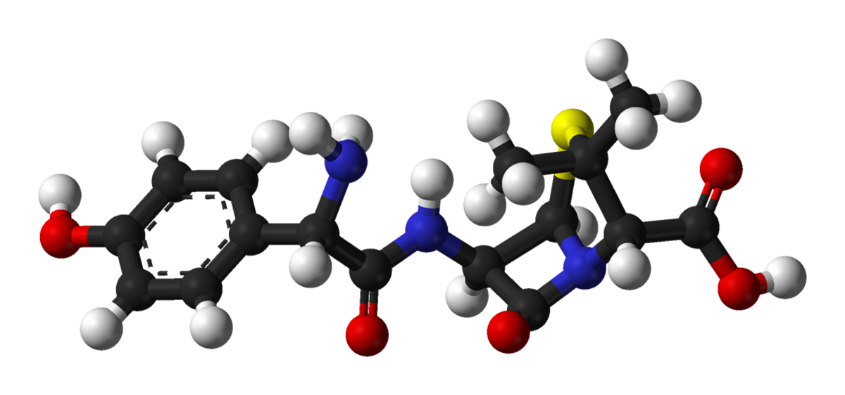 Amoxicilline
