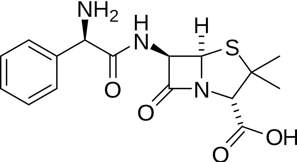 Ampicilline