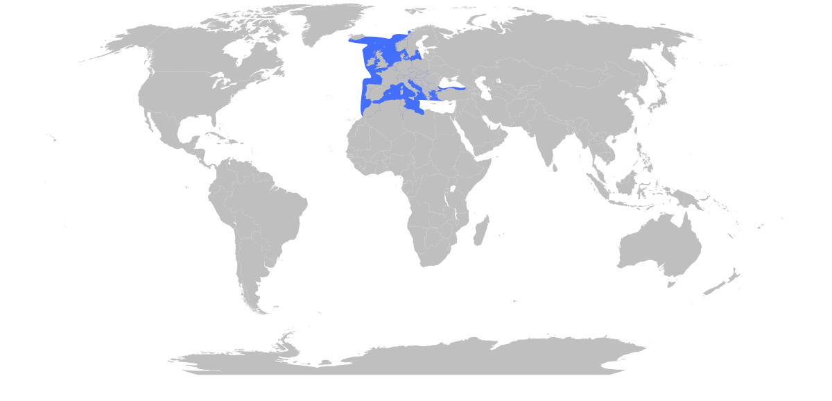 Anglerfish Range Map.svg