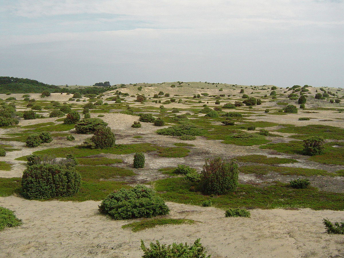Un paysage sur Anholt.