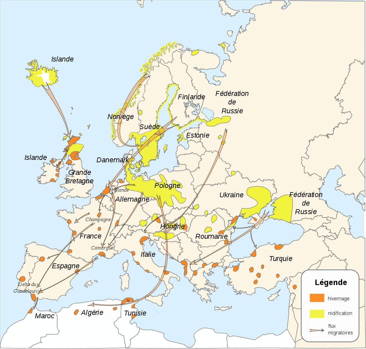 Anser anser migration map-fr.svg