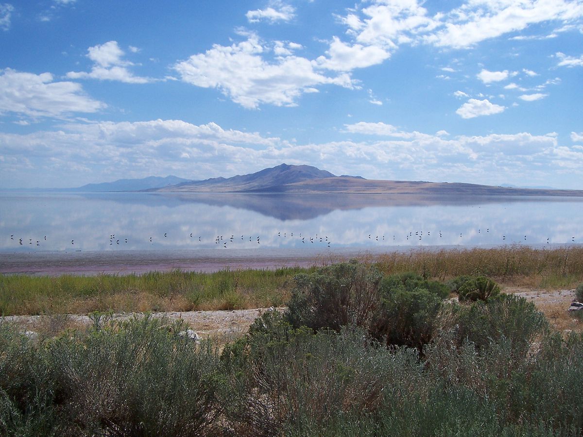 Parc d'État d'Antelope Island