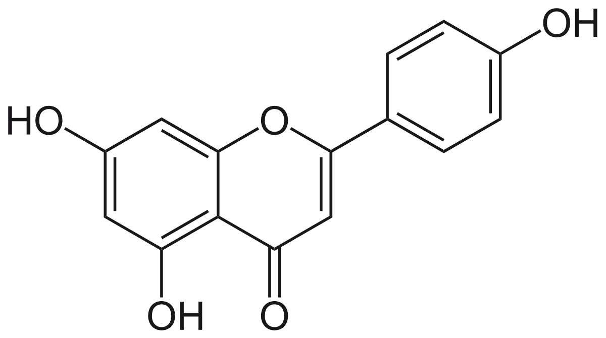 Apigénine