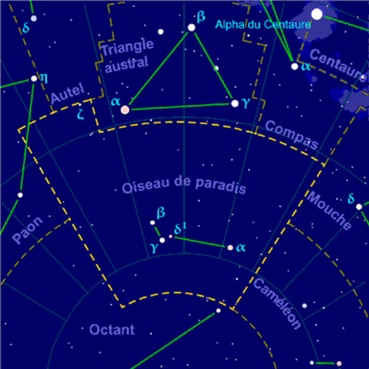 Oiseau de paradis (constellation)
