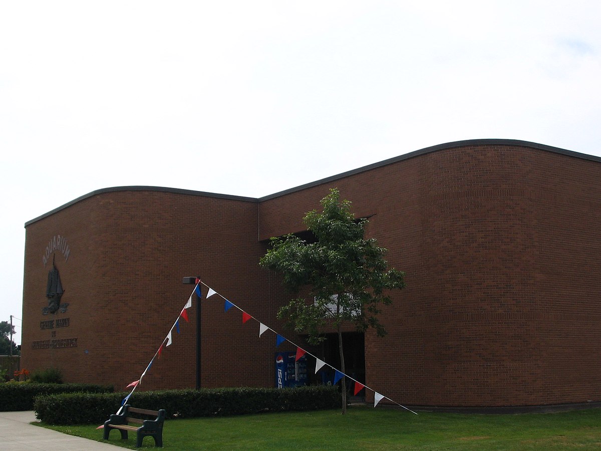Aquarium et centre marin du Nouveau-Brunswick