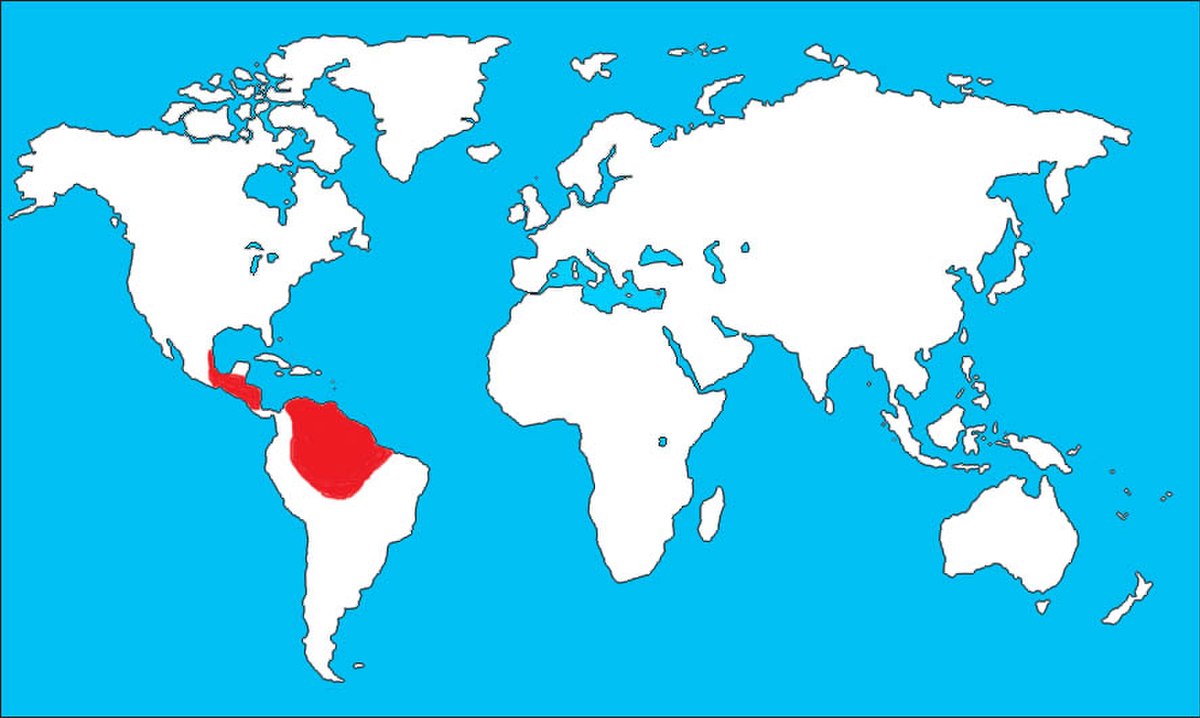 Ara macaoterritorium.jpg