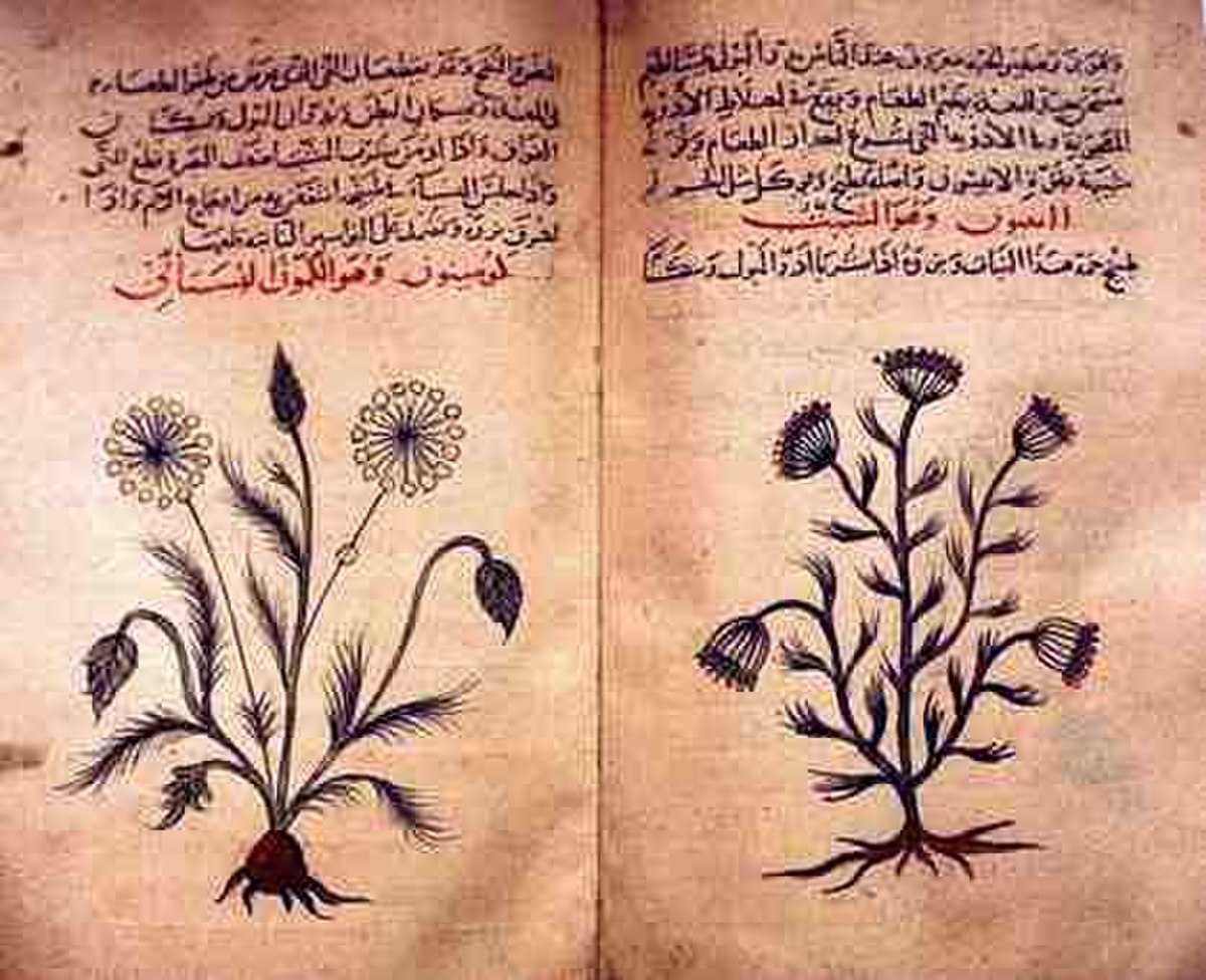 Histoire de la phycologie