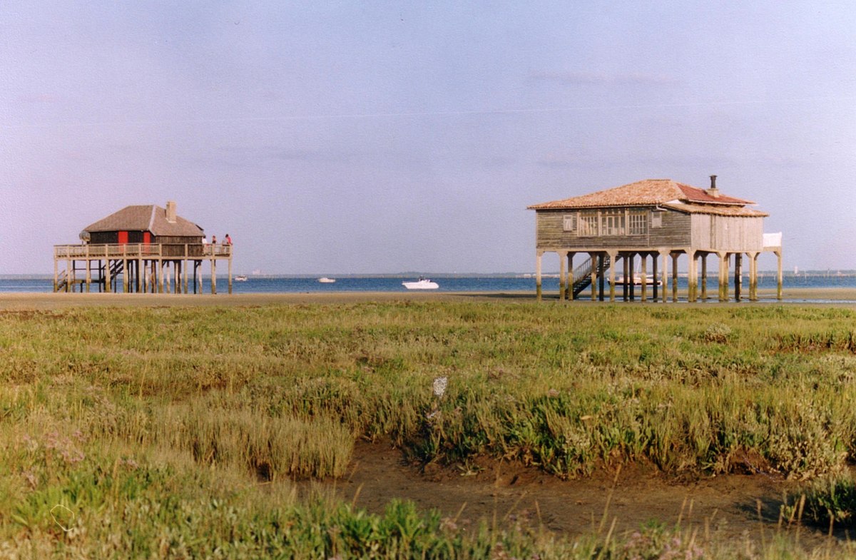 Île aux Oiseaux (France)