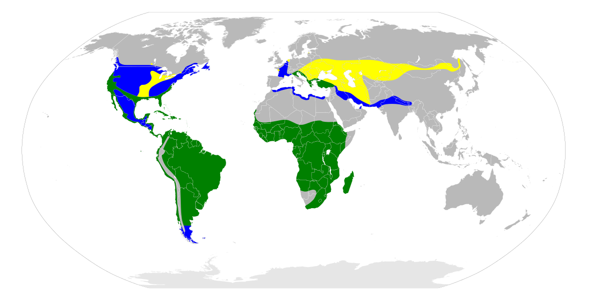 Ardea alba map.svg