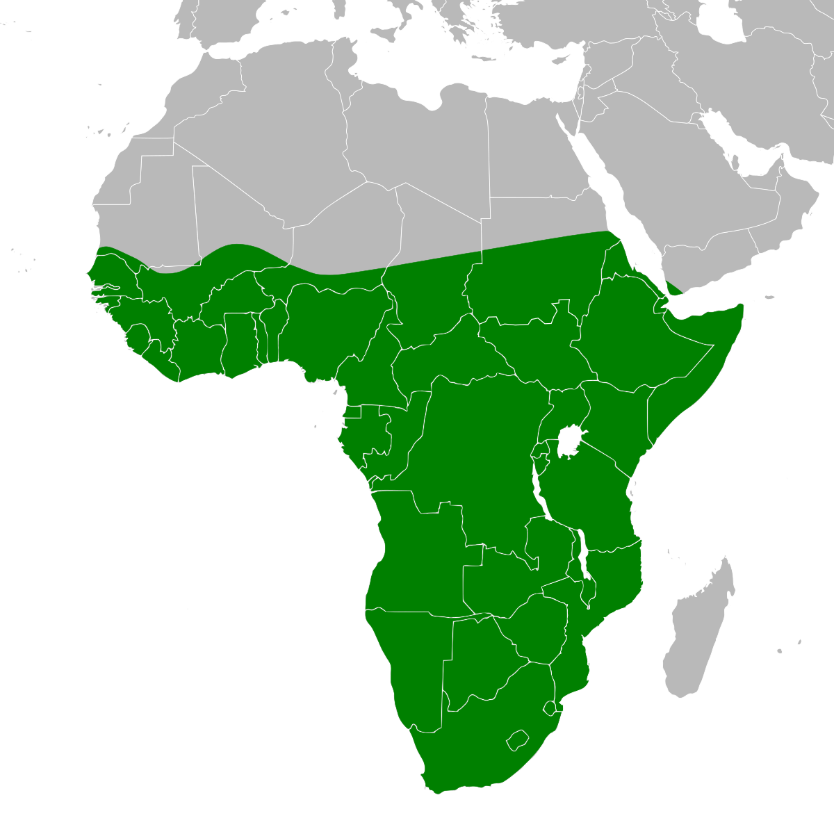 Ardea melanocephala map.svg