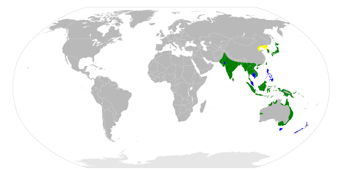 Ardea modesta map.svg
