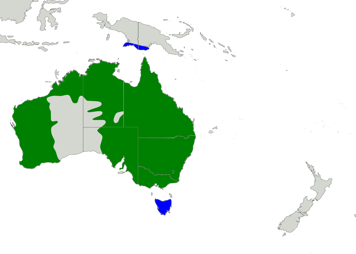 Ardea pacifica map.svg