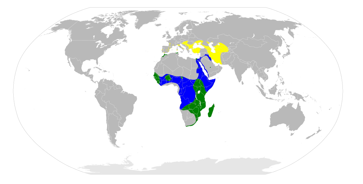 Ardeola ralloides map.svg