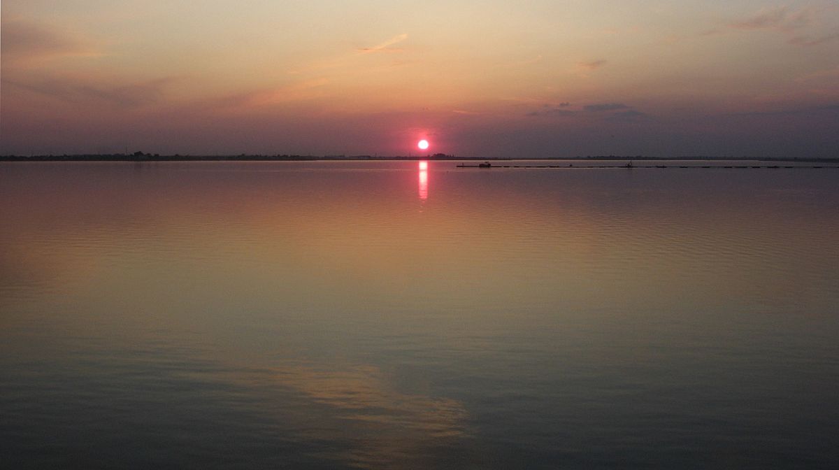 Argeş (rivière)