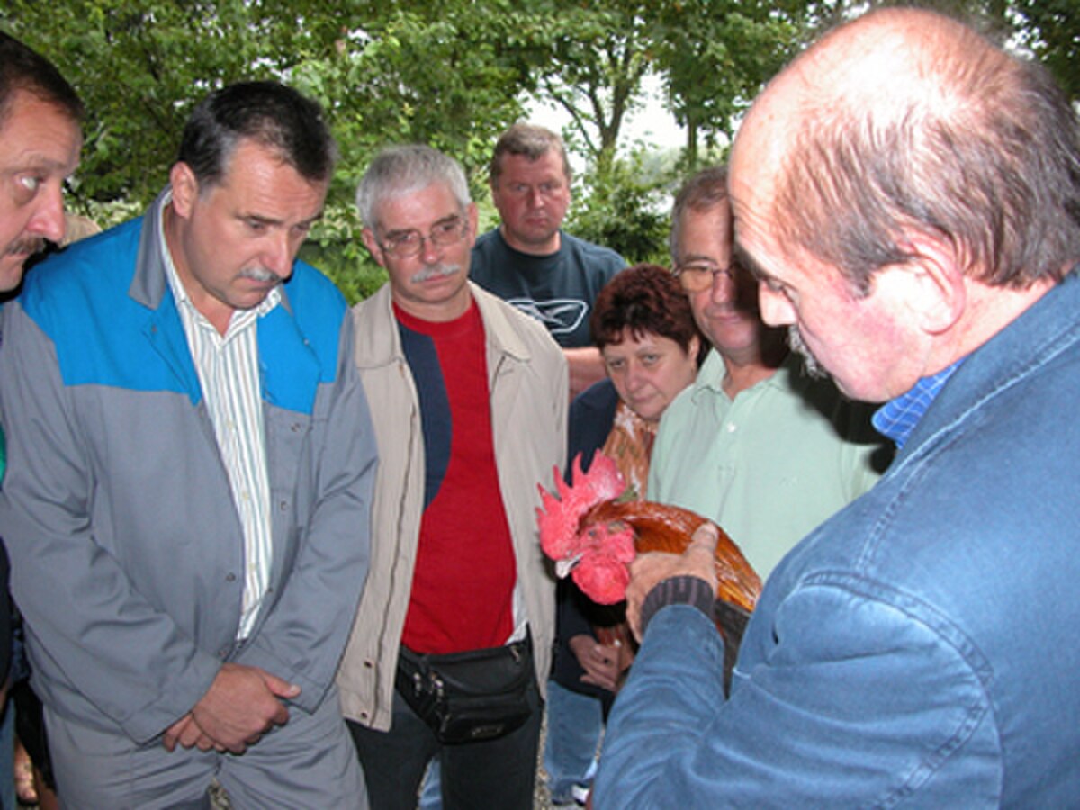 Journée technique MCF Arras 2006