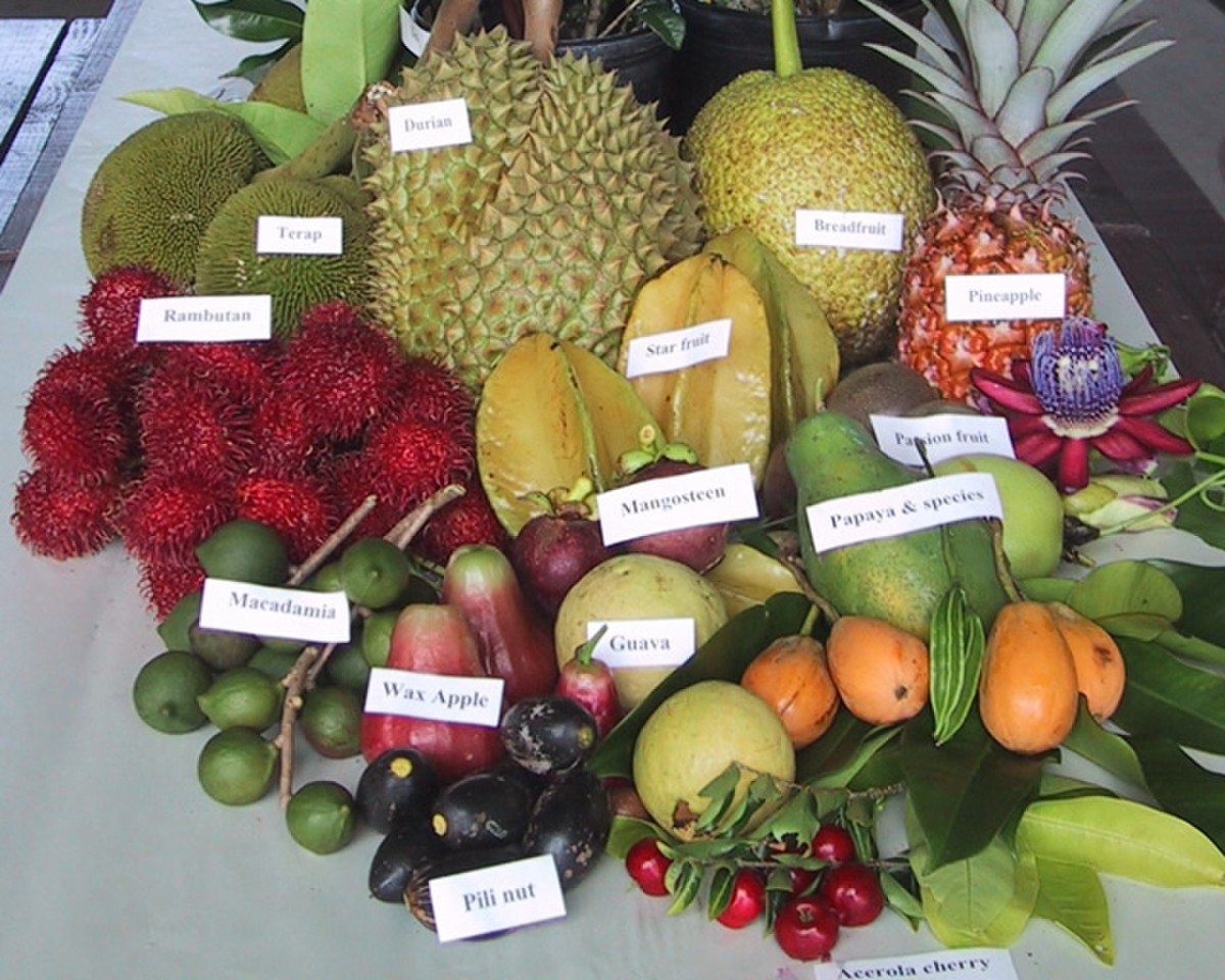 Fruit tropical