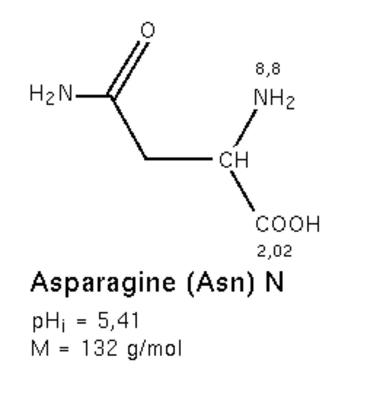 Asparagine