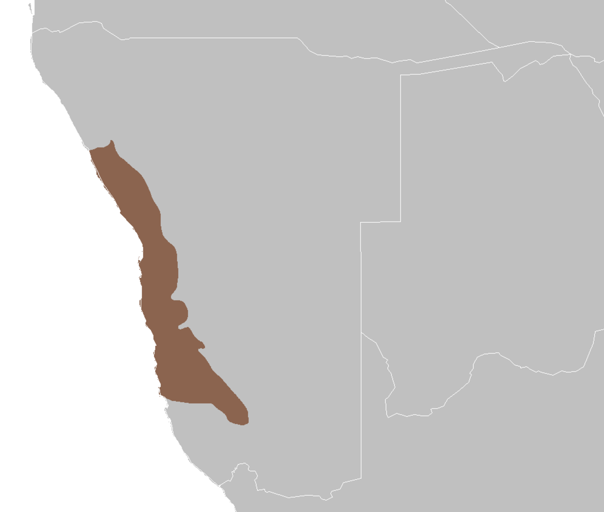 Désert de Namib