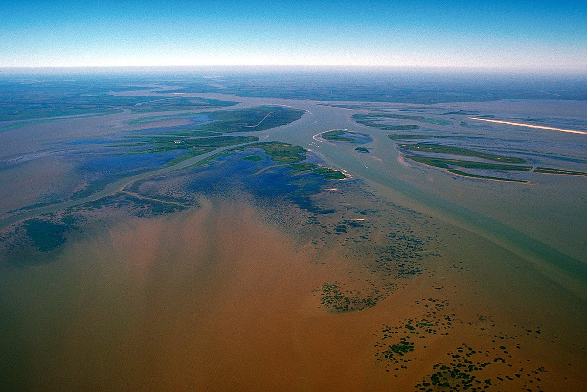 Estuaire