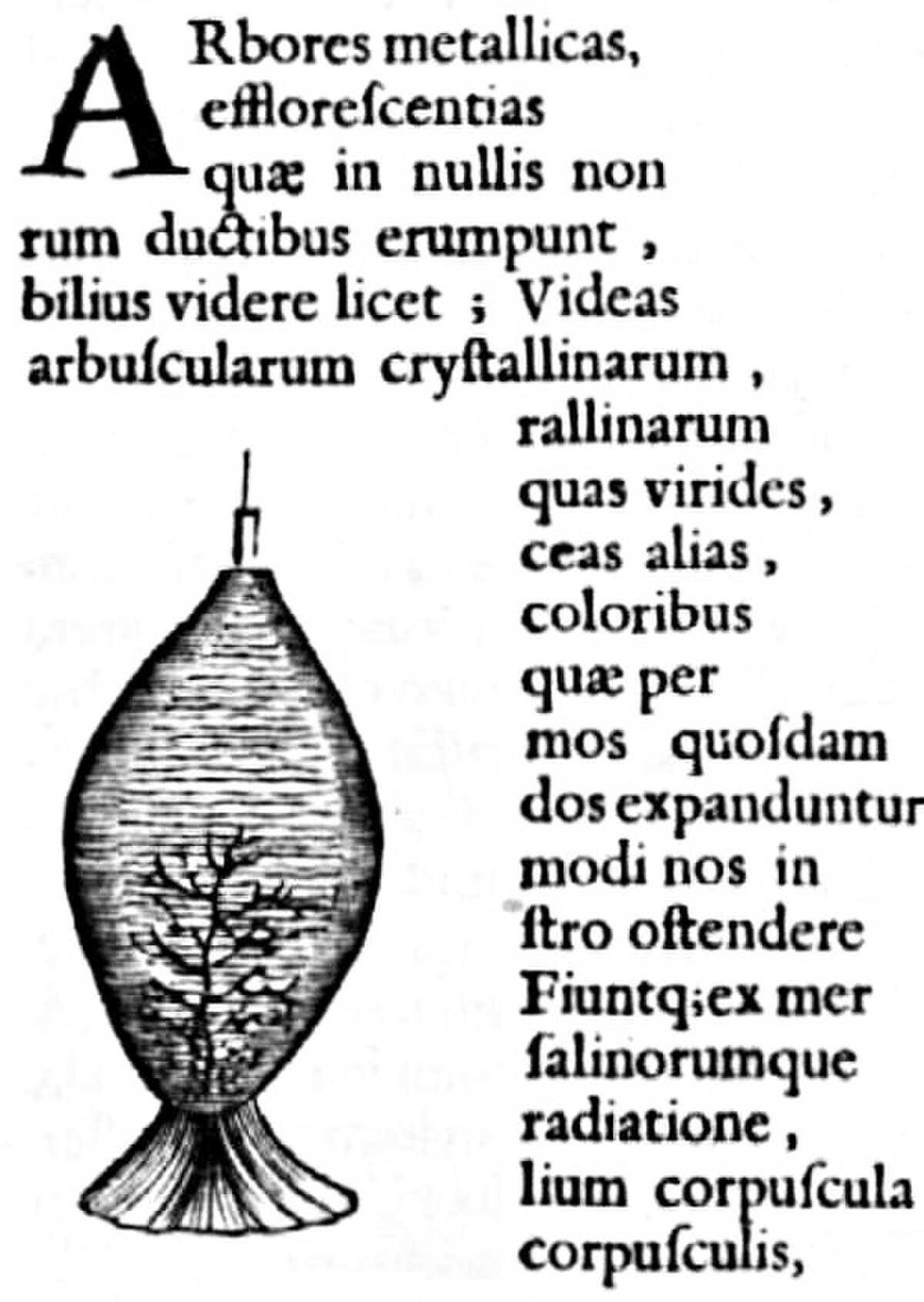 Végétation métallique