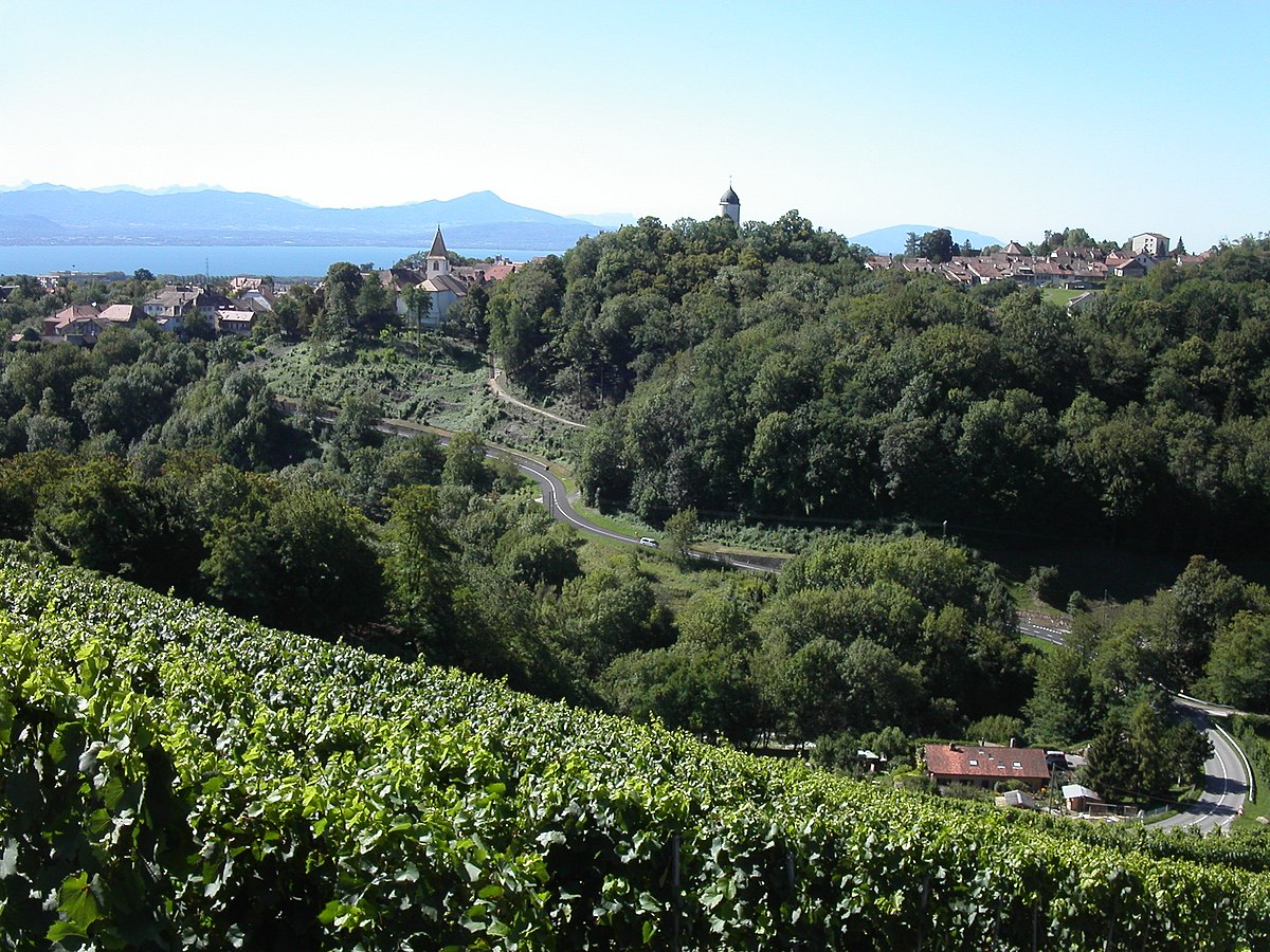 Aubonne (rivière)