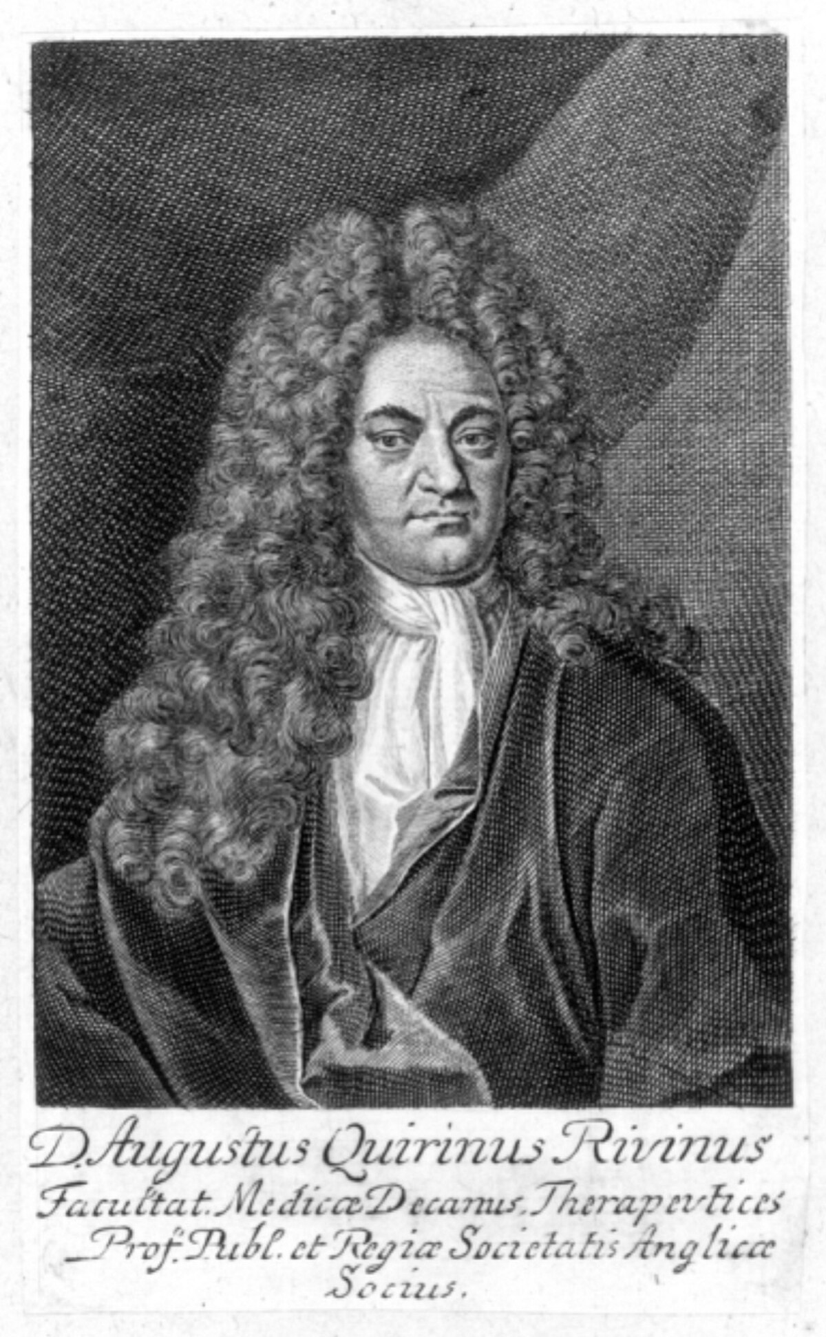 Augustus Quirinus Rivinus