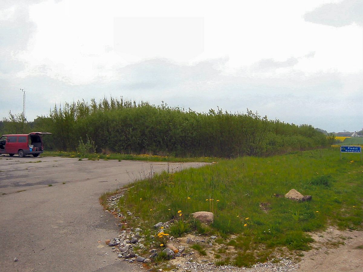 Exemple de phytoremediation, sur une ancienne plafeforme gazière de Rønnede (Danemark), via plusieurs espèces de saules (Salix)