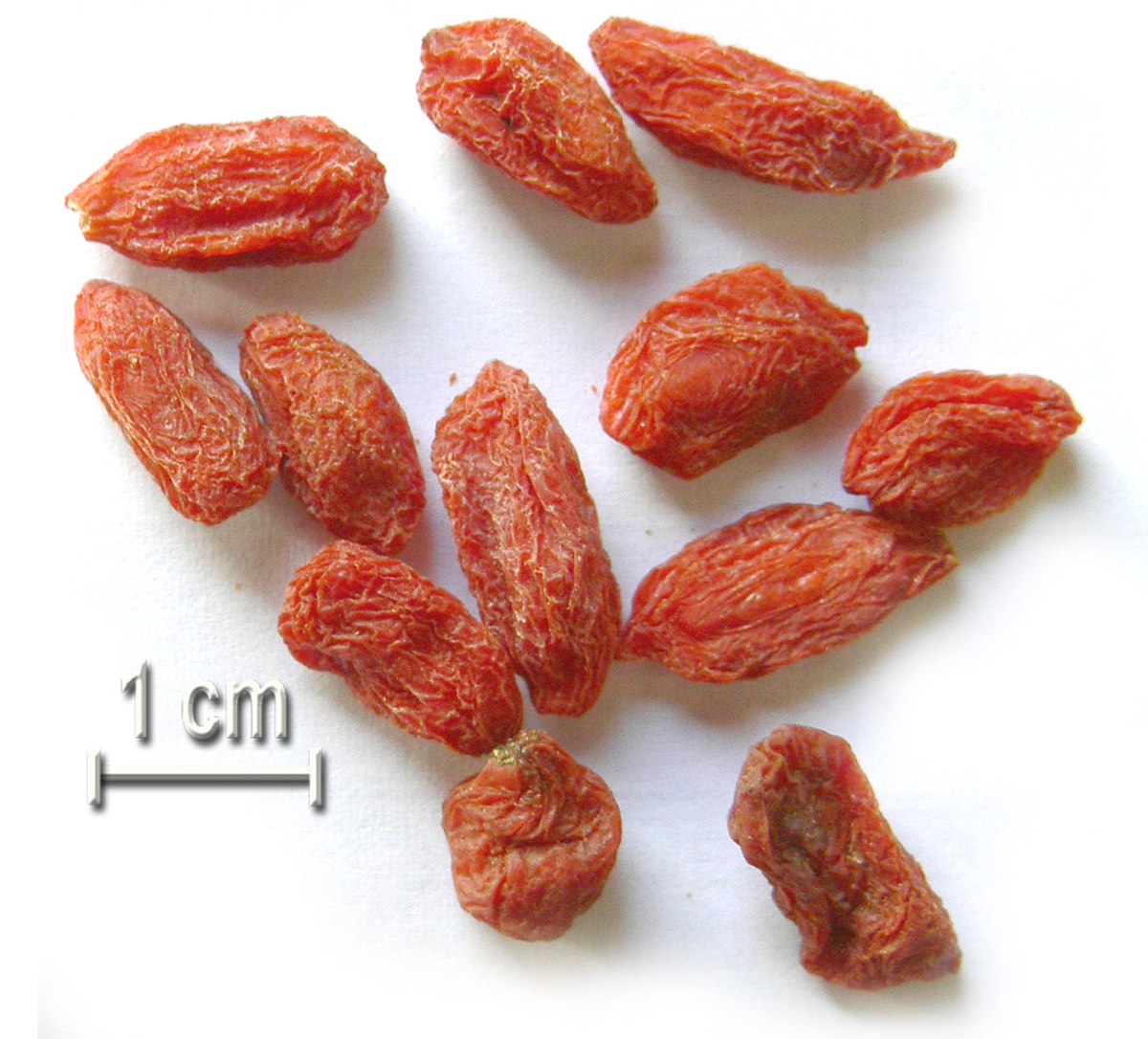 Baie de goji
