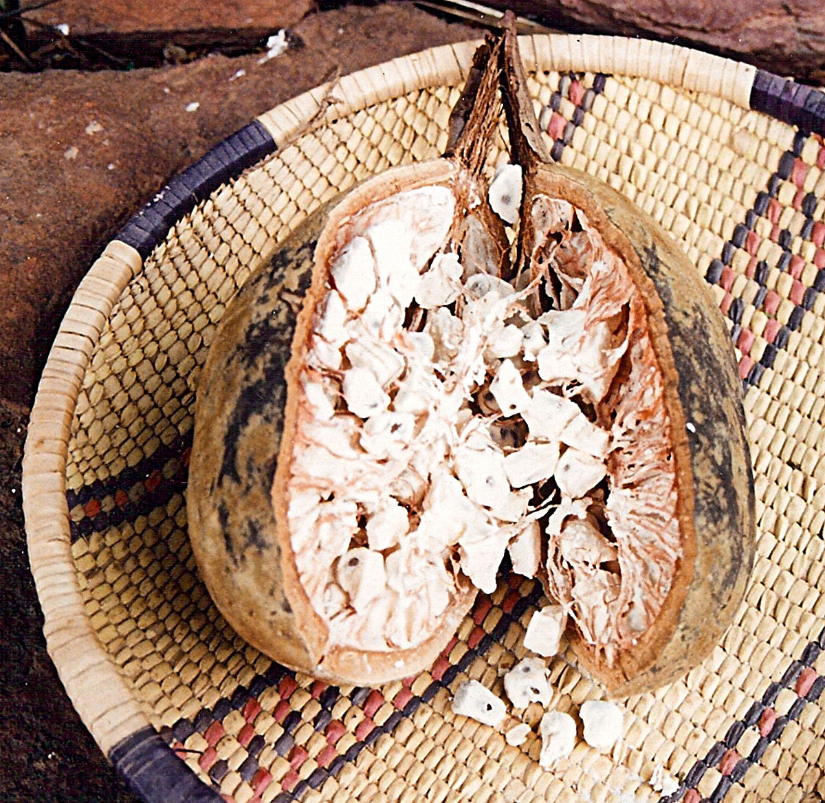 Le pain de singe est le surnom du fruit du baobab