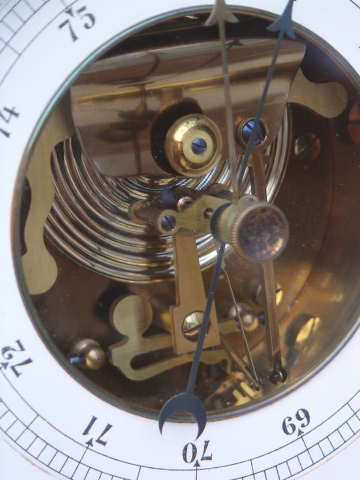 Capsule de Vidie