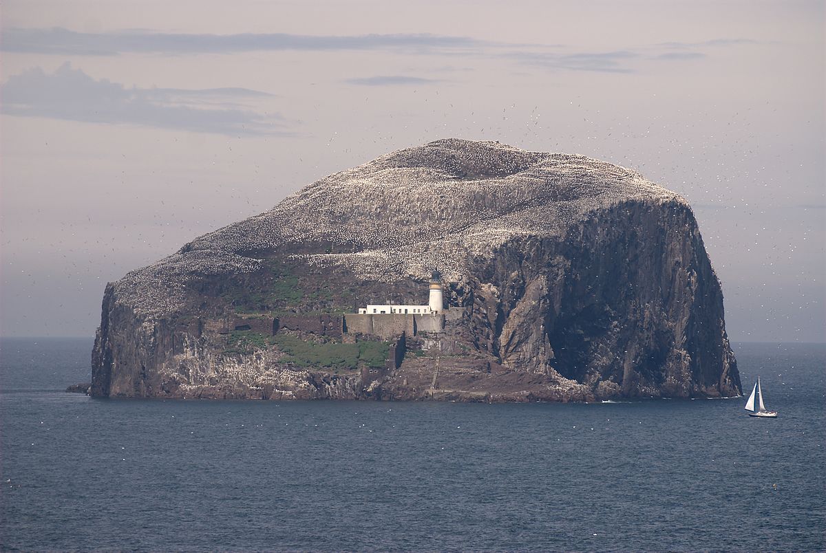 Bass Rock (Écosse)