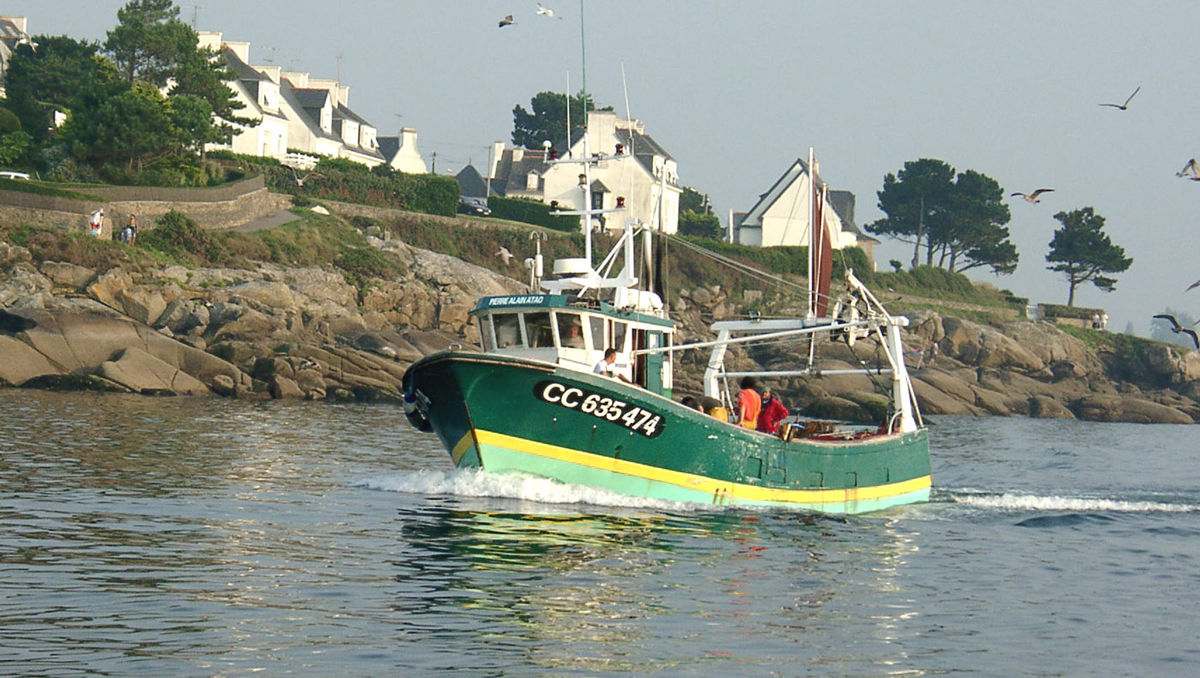Un bolincheur à l'entrée du port de Concarneau