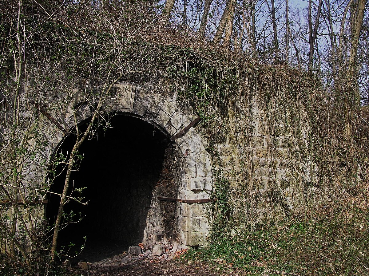 Batterie du Ravin de Bouviers mars 2008.JPG