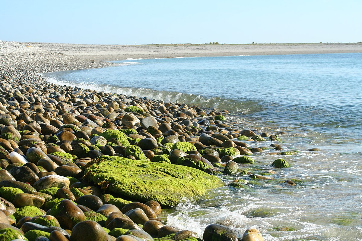 Île de Béniguet (Molène)