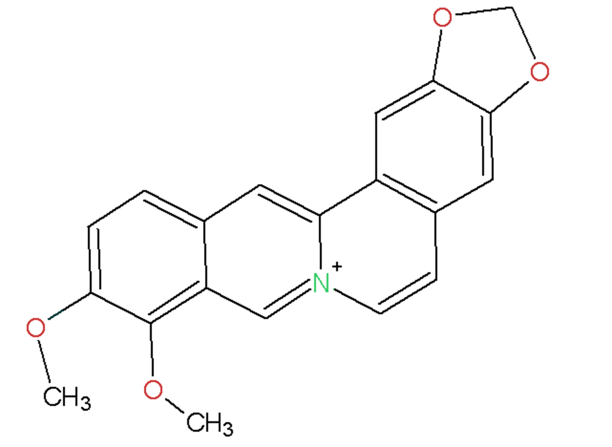 Berbérine